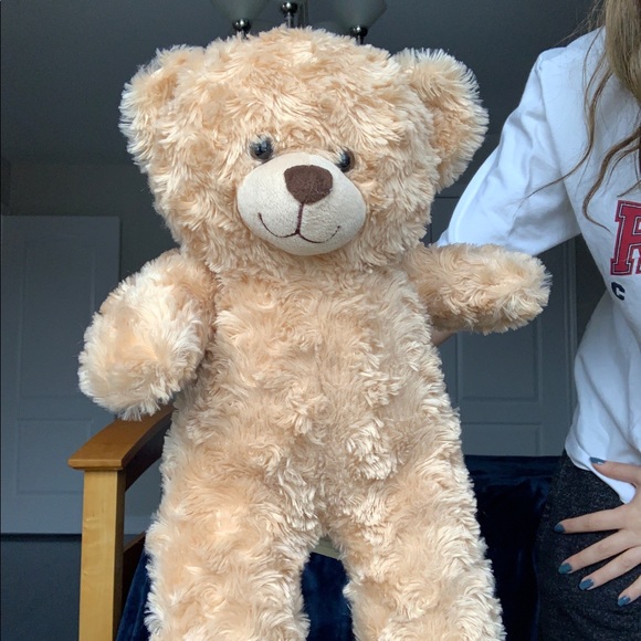Build a bear brand new great condition teddy - Picture 1 of 4